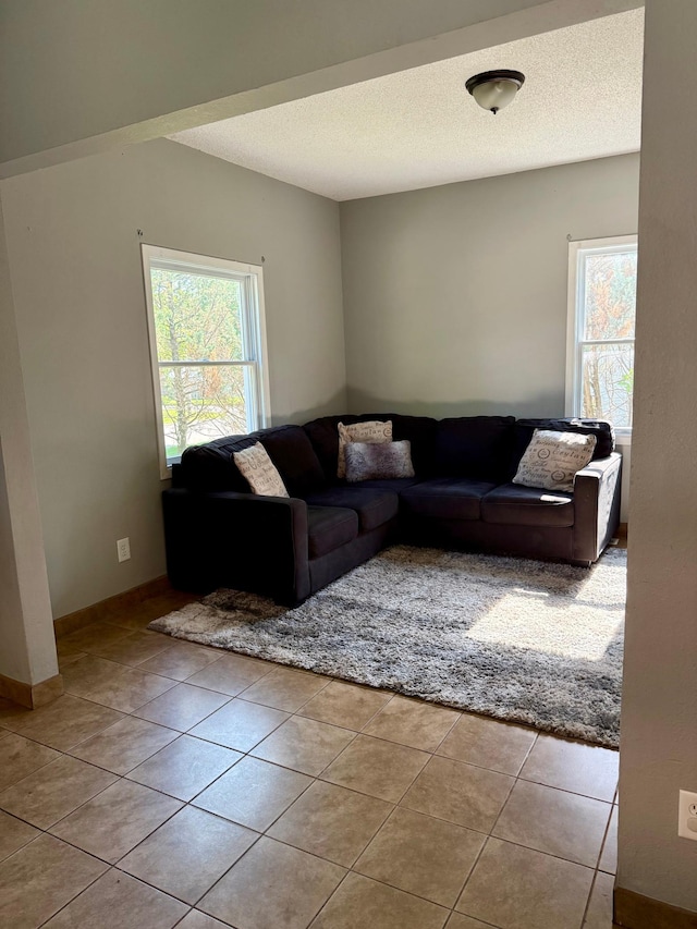 1212 Gorton Ave NW, Willmar, MN 56201 - living room featuring tile patterned floors and a textured ceiling
