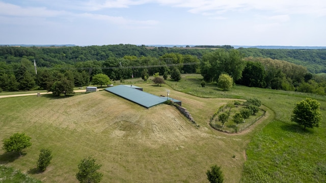 21555 699th St, Wabasha, MN 55981 - overview of rural landscape featuring a forest
