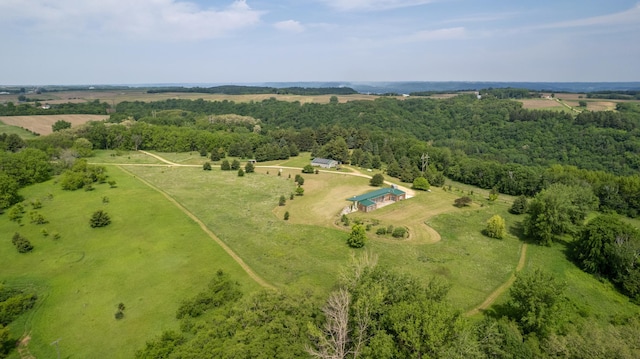 21555 699th St, Wabasha, MN 55981 - aerial view of sparsely populated area