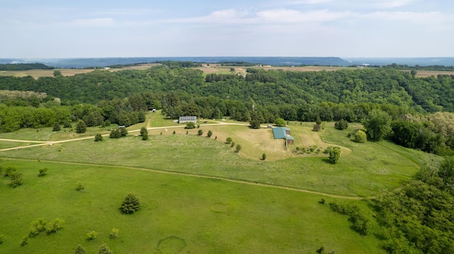 21555 699th St, Wabasha, MN 55981 - overview of rural landscape