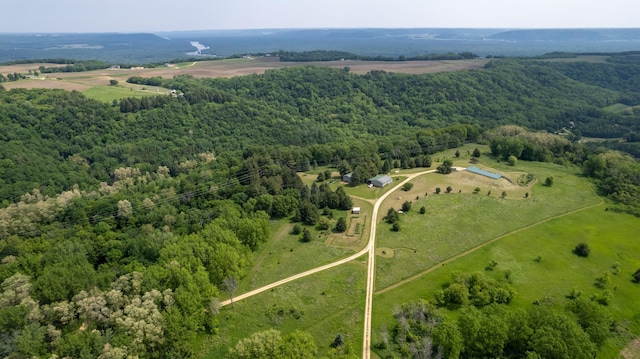 21555 699th St, Wabasha, MN 55981 - drone / aerial view of a forest