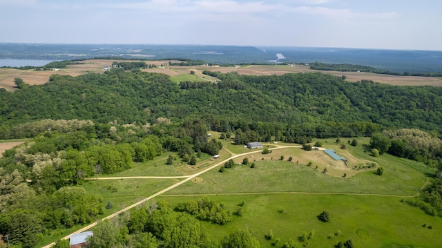 21555 699th St, Wabasha, MN 55981 - drone / aerial view of a forest