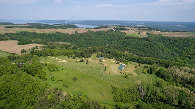 21555 699th St, Wabasha, MN 55981 - aerial view of a forest