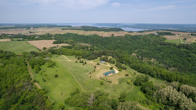 21555 699th St, Wabasha, MN 55981 - view of rural area with a heavily wooded area
