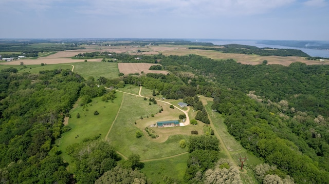 21555 699th St, Wabasha, MN 55981 - aerial view of sparsely populated area featuring a forest