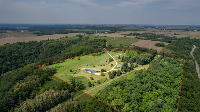 21555 699th St, Wabasha, MN 55981 - overview of rural landscape with property parcel outlined and a forest