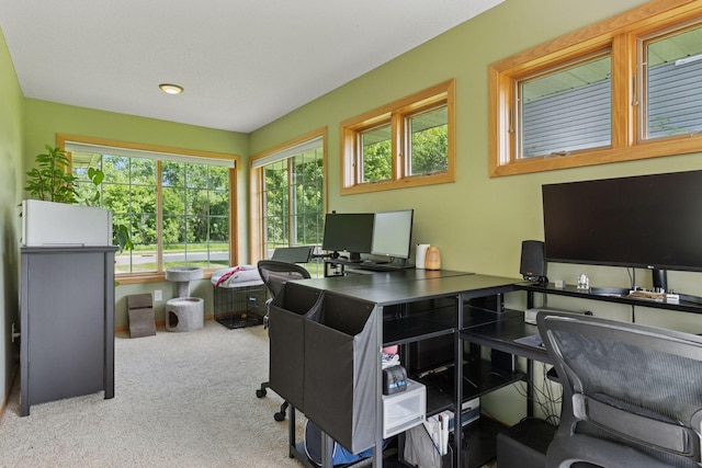 15450 Goodview Ave N, Hugo, MN 55038 - carpeted home office with plenty of natural light