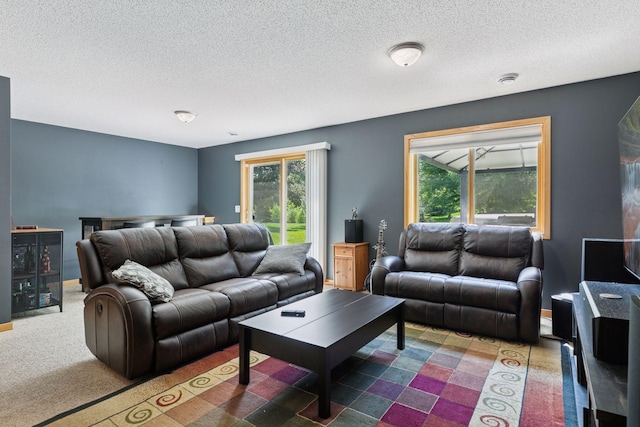 15450 Goodview Ave N, Hugo, MN 55038 - living area with a textured ceiling
