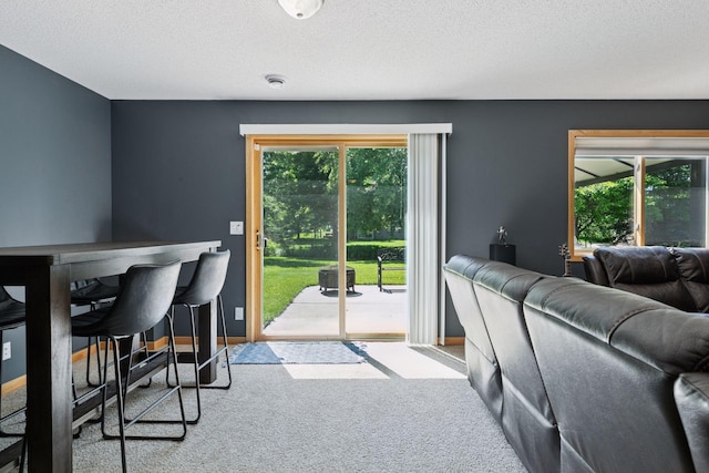 15450 Goodview Ave N, Hugo, MN 55038 - dining room with carpet flooring, plenty of natural light, and a textured ceiling