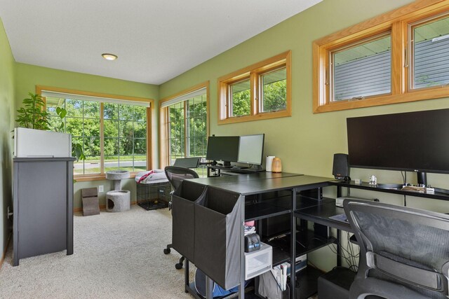 15450 Goodview Ave N, Hugo, MN 55038 - photo 22