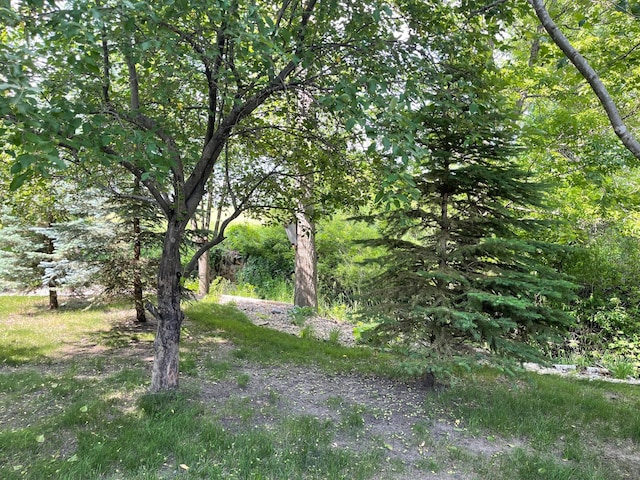 640 Meadowlark Ln, Eden Valley, MN 55329 - view of woods