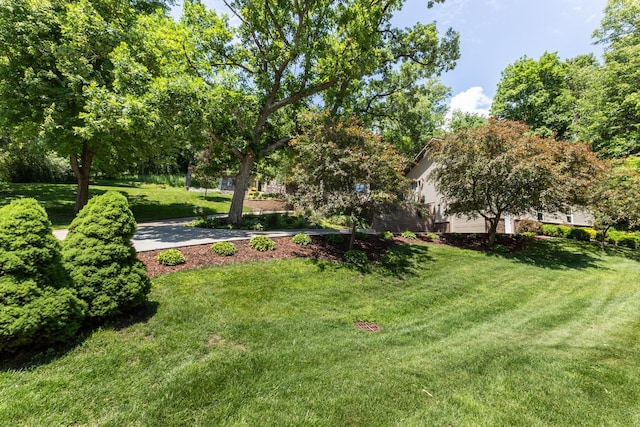 6317 Oak Meadow Ln NW, Rochester, MN 55901 - view of grassy yard