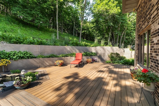 6317 Oak Meadow Ln NW, Rochester, MN 55901 - view of deck