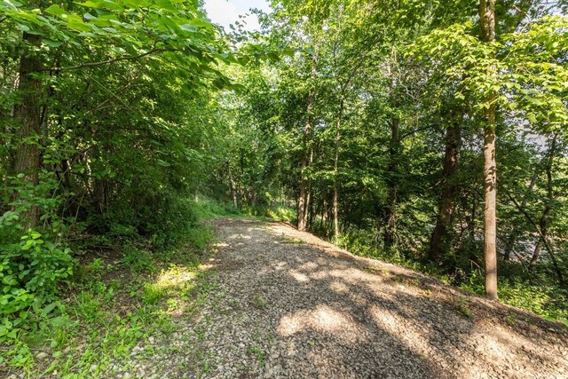 6317 Oak Meadow Ln NW, Rochester, MN 55901 - view of street featuring a forest view