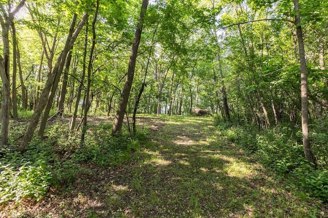 6317 Oak Meadow Ln NW, Rochester, MN 55901 - view of woods