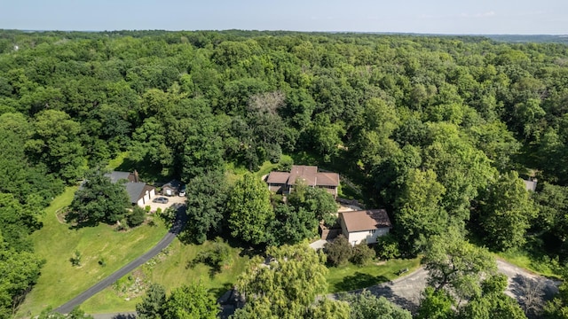 6317 Oak Meadow Ln NW, Rochester, MN 55901 - aerial view of a forest