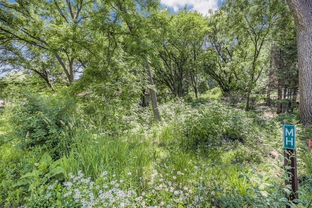 1984 Prosperity Rd N, Maplewood, MN 55109 - photo 1