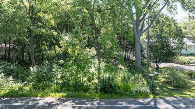 1984 Prosperity Rd N, Maplewood, MN 55109 - photo 6