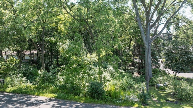 1984 Prosperity Rd N, Maplewood, MN 55109 - photo 7