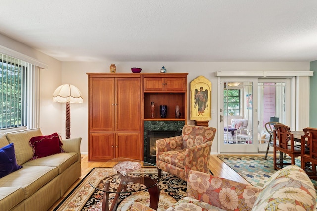 8447 Morgan Ln, Eden Prairie, MN 55347 - living room featuring light wood finished floors, a fireplace, and a textured ceiling