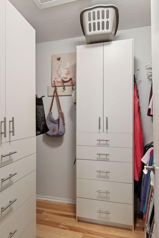 8447 Morgan Ln, Eden Prairie, MN 55347 - walk in closet featuring light wood-style floors