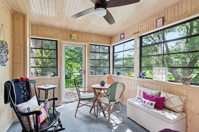 8447 Morgan Ln, Eden Prairie, MN 55347 - sunroom / solarium with a ceiling fan