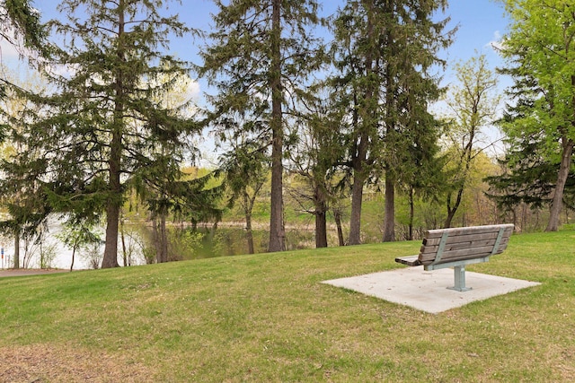 8447 Morgan Ln, Eden Prairie, MN 55347 - view of grassy yard