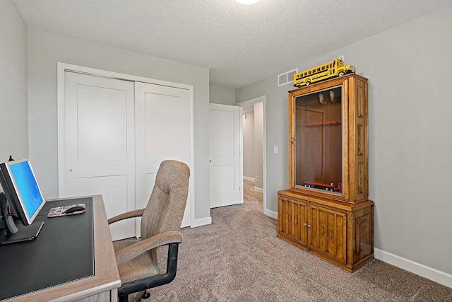 14145 Aberdeen Way, Rosemount, MN 55068 - home office with carpet floors and a textured ceiling