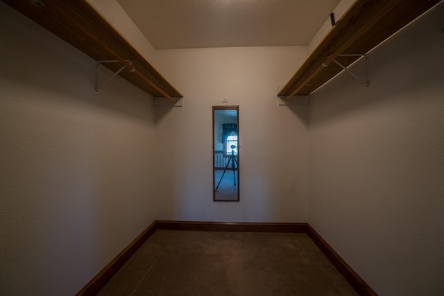 1757 325th Ave, West Sweden Twp, WI 54837 - walk in closet with carpet