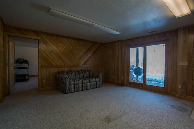 1757 325th Ave, West Sweden Twp, WI 54837 - bonus room with wood walls, carpet floors, and a textured ceiling