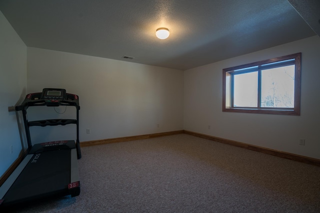1757 325th Ave, West Sweden Twp, WI 54837 - workout area with carpet floors and a textured ceiling
