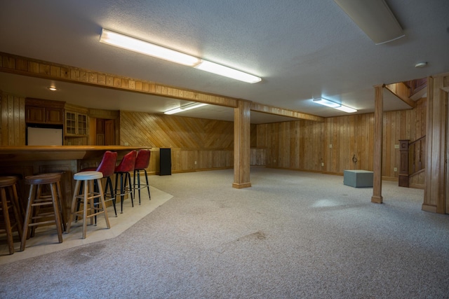 1757 325th Ave, West Sweden Twp, WI 54837 - finished below grade area with wood walls, fridge, light carpet, bar, and a textured ceiling