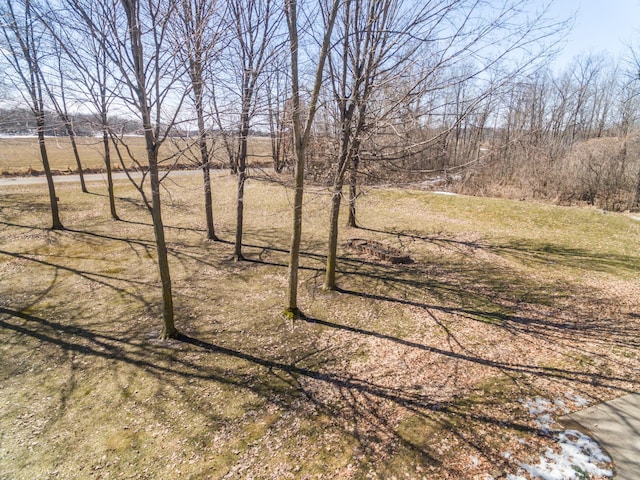 1757 325th Ave, West Sweden Twp, WI 54837 - view of yard