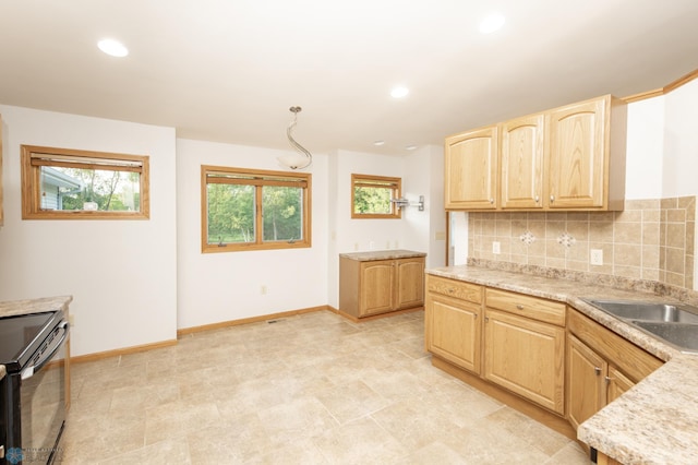 29074 Tee Lake Rd, Candor Twp, MN 56587 - photo 14