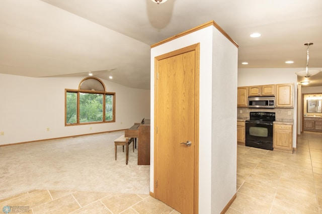 29074 Tee Lake Rd, Candor Twp, MN 56587 - photo 40