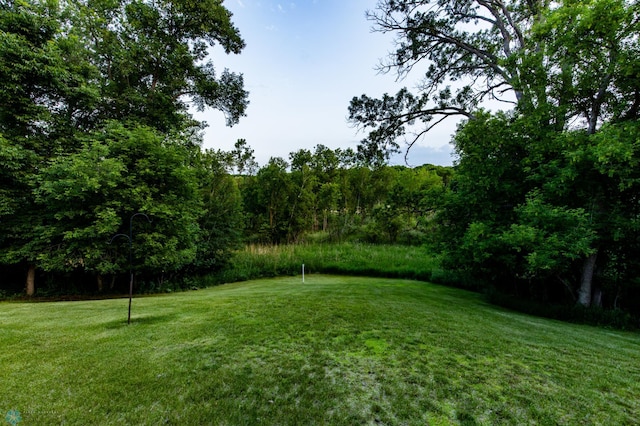 29074 Tee Lake Rd, Candor Twp, MN 56587 - photo 75
