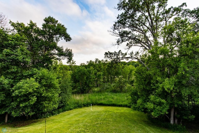 29074 Tee Lake Rd, Candor Twp, MN 56587 - photo 76