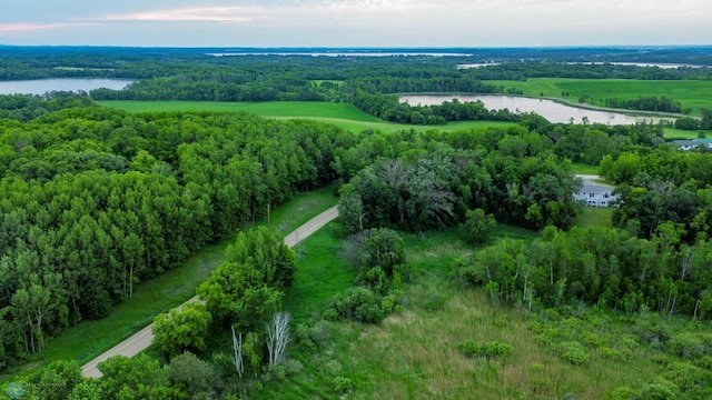 29074 Tee Lake Rd, Candor Twp, MN 56587 - photo 84