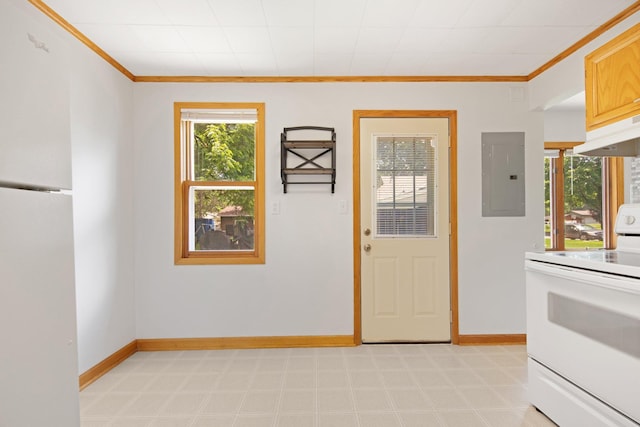 619 4th Ave E, Shakopee, MN 55379 - doorway to outside with electric panel, ornamental molding, and light floors