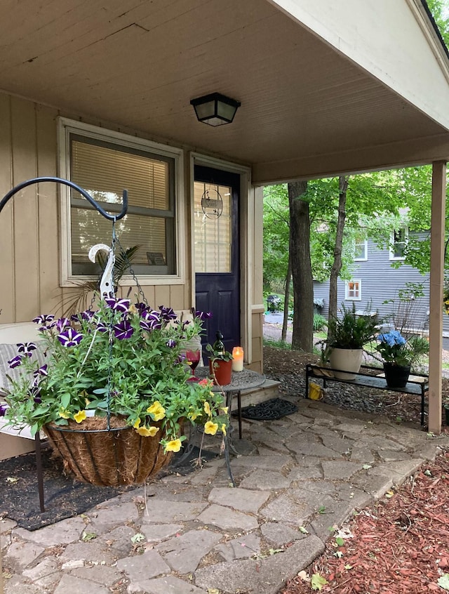 338 Jefferson St, Saint Croix Falls, WI 54024 - view of patio