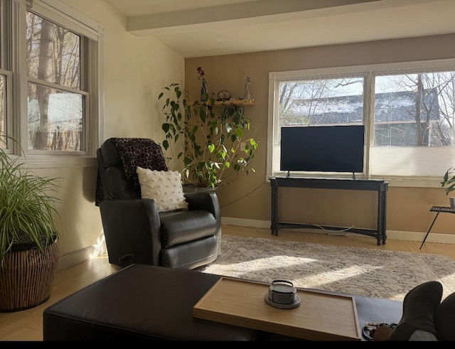 338 Jefferson St, Saint Croix Falls, WI 54024 - living room with wood finished floors and beamed ceiling