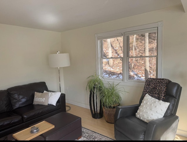 338 Jefferson St, Saint Croix Falls, WI 54024 - living room with wood finished floors and baseboards