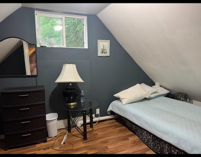 338 Jefferson St, Saint Croix Falls, WI 54024 - bedroom with wood finished floors and lofted ceiling