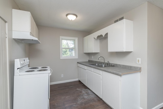 269 Chestnut St, Ellsworth, WI 54011 - kitchen with white electric stove, under cabinet range hood, dark wood-type flooring, and white cabinets