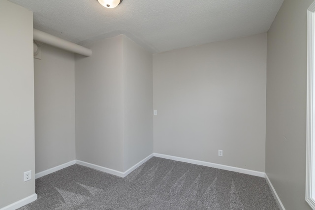 269 Chestnut St, Ellsworth, WI 54011 - empty room with dark carpet and a textured ceiling