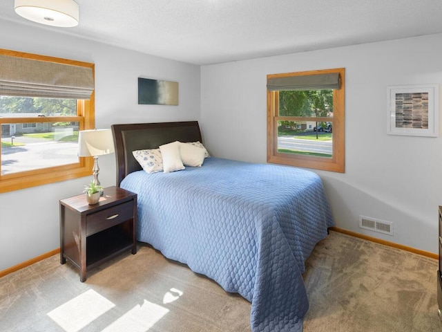 13103 Parkwood Dr, Burnsville, MN 55337 - photo 23