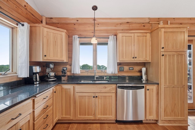 70824 227th St, Dassel Twp, MN 55325 - kitchen with dishwasher, light brown cabinets, light wood-type flooring, and healthy amount of natural light
