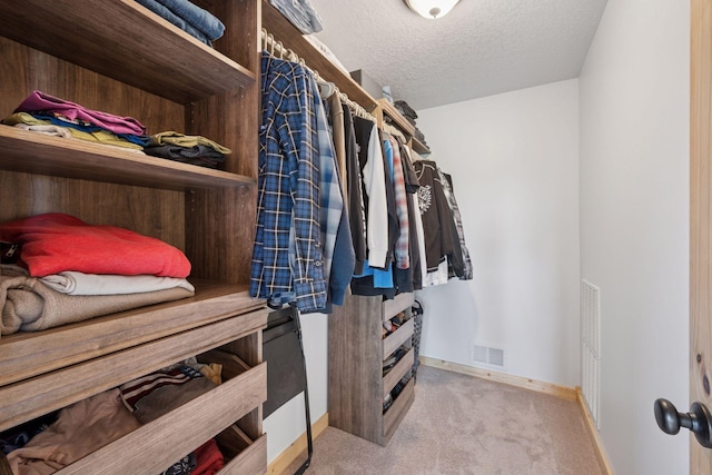 70824 227th St, Dassel Twp, MN 55325 - walk in closet with carpet