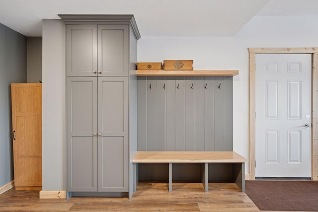 70824 227th St, Dassel Twp, MN 55325 - mudroom featuring wood finished floors and baseboards