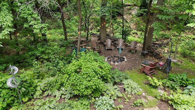 520 Wedgewood Ln N, Plymouth, MN 55441 - view of nature